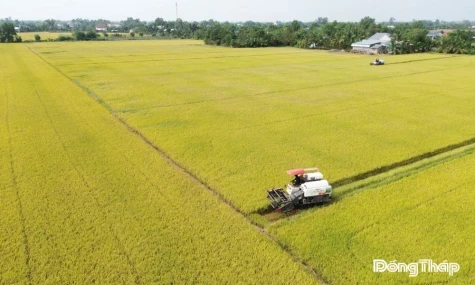 Agricultural Challenges