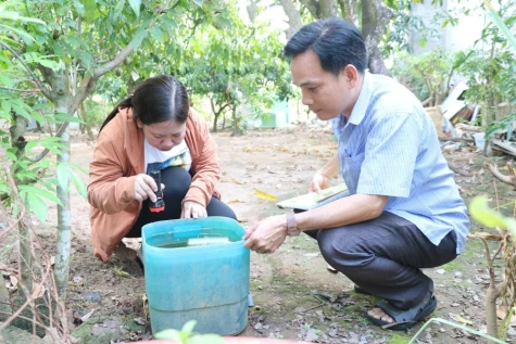 Tăng cường phòng, chống sốt xuất huyết Dengue