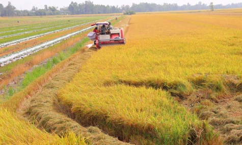 “Thuận thiên” - nền tảng cho chuyển dịch kinh tế nông nghiệp Đồng Tháp