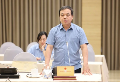 Vụ 300 tấn heo bệnh vào trường học: Kiểm tra các hợp đồng cung cấp thực phẩm