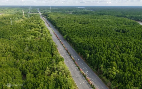 Đường xuyên rừng Cần Giờ trước đề xuất mở rộng lên 10 làn