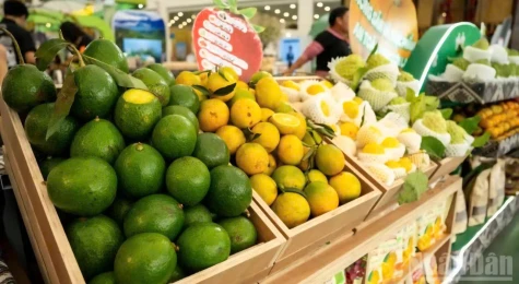 Động lực tăng trưởng thương mại, dịch vụ quý I-2026