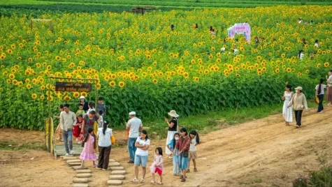 Nông thôn “nở hoa” nhờ du lịch