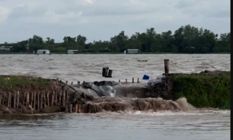 Sạt lở đường bờ Bắc kinh Tân Thành gây thiệt hại trên 5 tỷ đồng