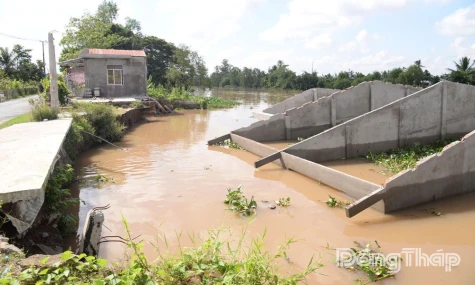 Dong Thap Proactively Tackles Climate Change, Natural Disasters