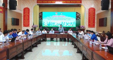 Nhiều hoạt động thiết thực tại Chiến dịch tình nguyện Mùa hè xanh giai đoạn 2026 - 2030