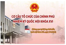 [Infographic] Cơ cấu tổ chức của Chính phủ nhiệm kỳ Quốc hội khóa XVI