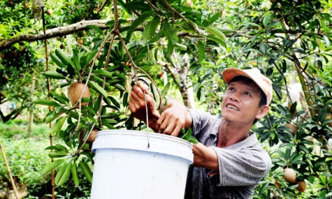 Chương mới trên vùng “Vành đai diệt Mỹ”