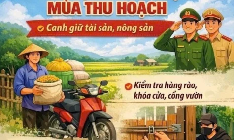 Xã Trường Xuân: Tăng cường phòng, chống trộm trong mùa thu hoạch