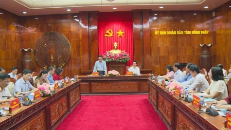 Đồng Tháp hoàn thành tốt giai đoạn 1 Tổng điều tra Kinh tế 2026