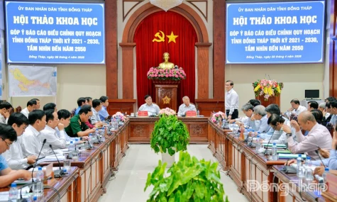 Dong Thap: Scientific Workshop Contributes Feedback on Provincial Planning Adjustment