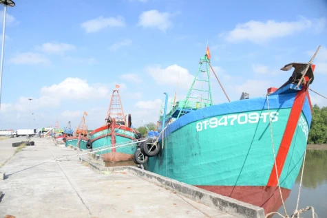 Đồng Tháp: Giá dầu leo thang, ngư dân “gồng mình” bám biển