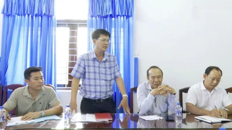 Xã Tân Thới: Mở rộng chuỗi liên kết sản xuất, tiêu thụ dừa hữu cơ