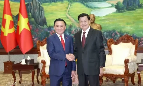 Key Vietnamese Party official meets with top Lao leader in Vientiane