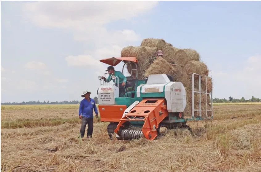 Đồng Tháp: Nông dân chủ động thích ứng với "bão giá", khô hạn
