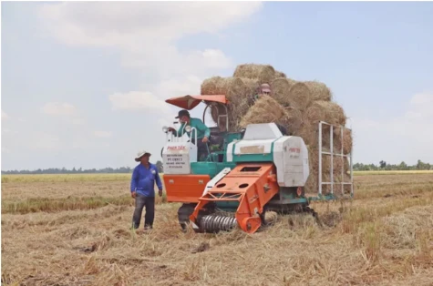 Đồng Tháp: Nông dân chủ động thích ứng với "bão giá", khô hạn