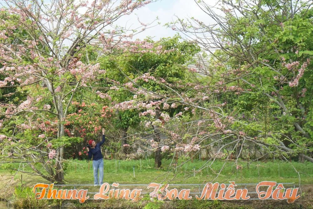 Các điểm du lịch trong tỉnh: Khoác “áo mới” đón mùa lễ lớn