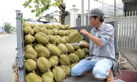 Tháo gỡ “điểm nghẽn” trong xuất khẩu nông sản