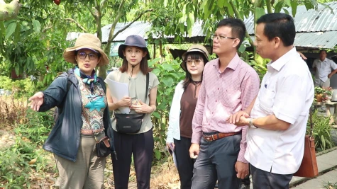 Xã Mỹ Thọ: Lãnh sự quán Nhật Bản tại TP. Hồ Chí Minh tham quan các mô hình nông nghiệp hữu cơ