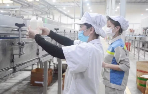 Phê duyệt “Chương trình hỗ trợ nghiên cứu sinh xuất sắc giai đoạn 2026 - 2030”