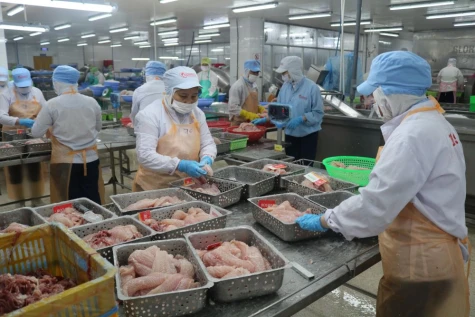 Đồng Tháp: Triển khai Tháng hành động về An toàn, vệ sinh lao động