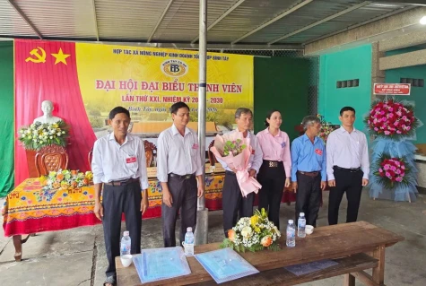 Hoạt động sản xuất, kinh doanh duy trì ổn định, có hiệu quả