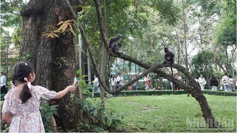 Hơn 100 gian hàng tại Lễ hội Sắc màu văn hóa lần 2