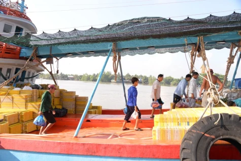 Đồng Tháp: Quyết liệt thực hiện khuyến nghị của EC, siết chặt chống khai thác IUU