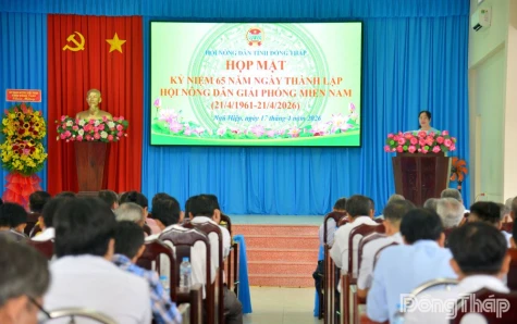 Dong Thap Commemorates 65th Anniversary of the Southern Liberation Farmers’ Association