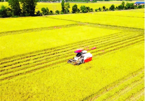 Nông sản “rộng cửa” vào thị trường tỷ dân