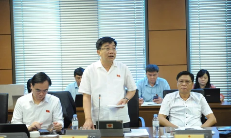 Đoàn Đại biểu Quốc hội tỉnh Đồng Tháp: Thảo luận nhiều ý kiến về cơ chế phát triển văn hóa và thí điểm luật sư công