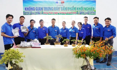 Đồng Tháp: Hoàn thiện hệ sinh thái khởi nghiệp