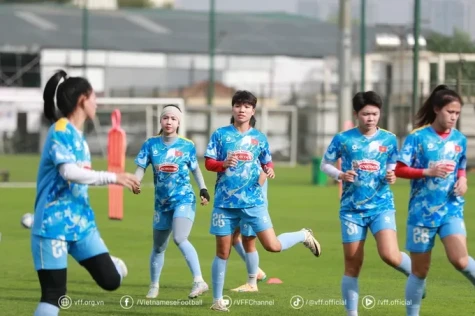 Đội tuyển nữ Việt Nam tụt 1 bậc trên bảng xếp hạng FIFA