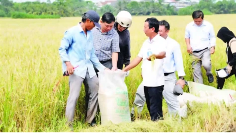 Động lực để hợp tác xã nông nghiệp phát triển bền vững