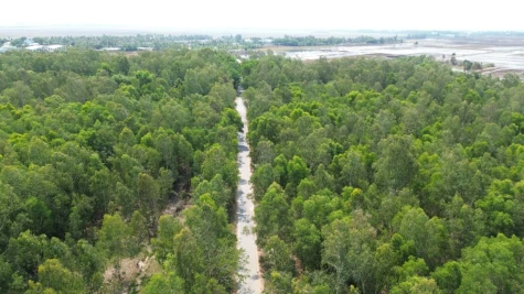 Đồng Tháp: Tăng cường kiểm tra, chủ động trong công tác phòng cháy rừng