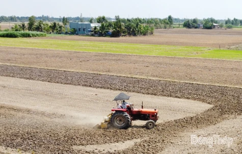 Nông dân Đồng Tháp tập trung cày ải, phơi đất