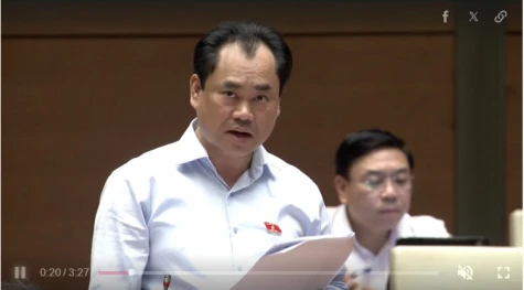 Việt Nam xem xét giảm diện tích đất trồng lúa