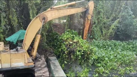 Xã Tân Phước 1: Trục vớt lục bình, bảo đảm thông thoáng dòng chảy
