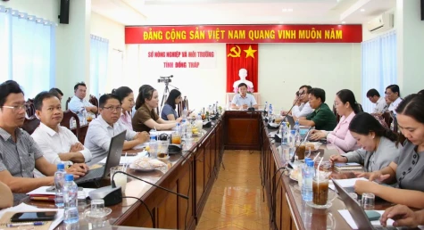 Đồng Tháp khẩn trương siết chặt công tác phòng, chống dịch bệnh trên vật nuôi