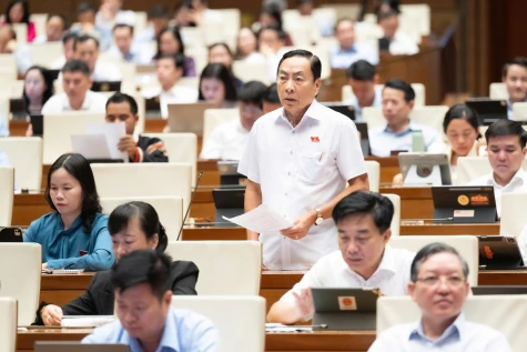 Đoàn Đại biểu Quốc hội tỉnh Đồng Tháp đóng góp ý kiến về phát triển văn hóa và thành lập thành phố Đồng Nai trực thuộc Trung ương