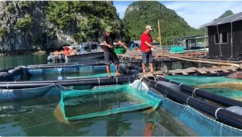 Tăng cường bảo vệ môi trường trong lĩnh vực thủy sản