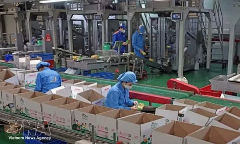State - private synergy key to Viet Nam's growth ambitions