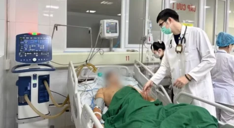 Gia tăng ca tử vong do bệnh dại, chuyên gia cảnh báo không được chậm xử trí