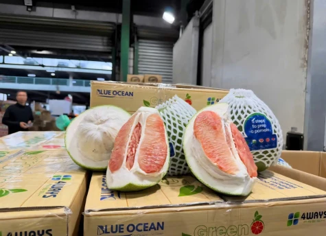 Lô bưởi đầu tiên của Việt Nam đã có mặt tại Australia