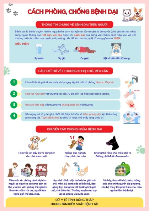 Nguy cơ tiềm ẩn từ các cơ sở giết mổ chó không an toàn