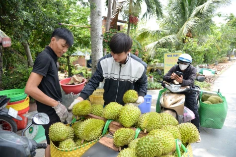 Đưa thương lái vào chuỗi giá trị