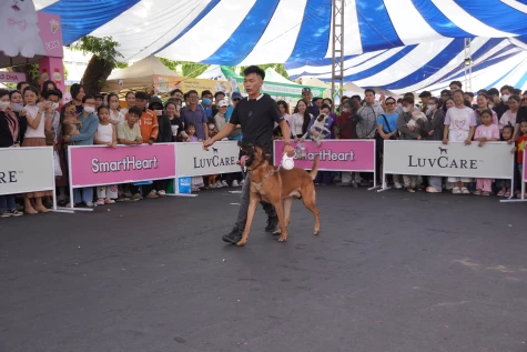 Nhiều hoạt động hấp dẫn tại Ngày hội Thú cưng TP. Cần Thơ năm 2026