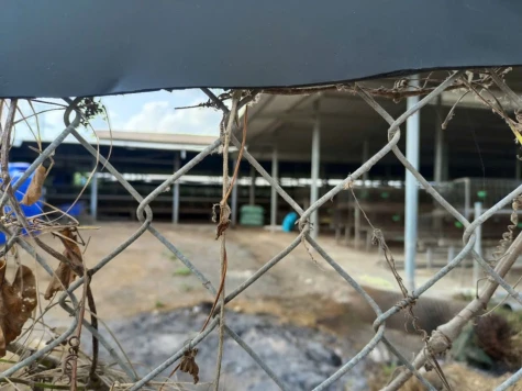 Trại gà gây mùi hôi, tiếng ồn ở ấp Dương Hòa: Không còn hoạt động chăn nuôi