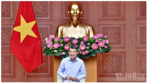 Triển khai đào tạo, tái đào tạo quy mô cấp quốc gia nguồn nhân lực trong các lĩnh vực ưu tiên, chiến lược