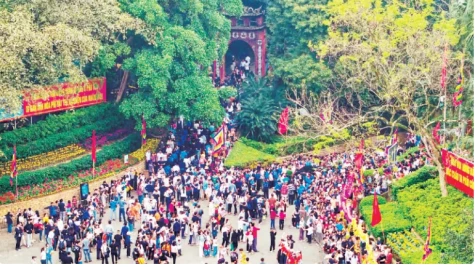 Như cây một cội, như con một nhà